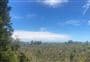 Hapuka Estuary Walk