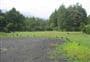 Catleys Campsite