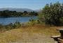 Lake Mistletoe Track
