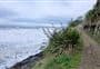 Monkey Bay Walk