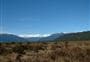 Waitangitāhuna Wetland Walk
