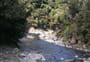 Nikau Flat and Kotepato Tracks
