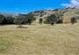 Anaura Bay Campsite