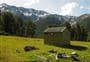 Christopher (Ada) Cullers Hut