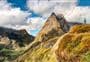 Milford Track