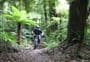 Tuhoto Ariki Trail