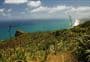 Maunganui Bluff Track