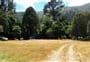 Waimaru Campsite