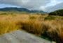 Gouland Downs Campsite