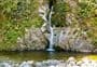 Lake Kaniere short walks