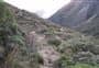 Albert Burn Hut Track