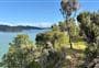 Toretore Island Walk