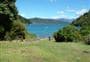 Wharehunga Bay Campsite