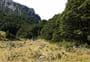 Scott Creek Track