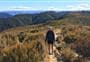 Summit Track
