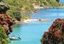 Tiritiri Matangi Island walks