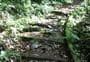 Waitewaewae Hut Track