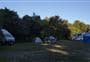 Goldsborough Campsite
