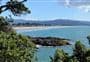 Matarangi Bluff Track