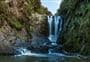 Piroa Falls Track