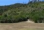 Tinline Campsite