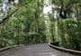Puketī Nature Trail