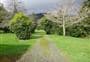 Pohangina Base Campsite