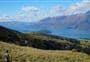 Mt McIntosh Loop Track