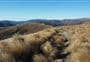 Tarn Hut tracks