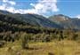 Tui Track