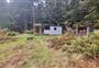 Roaring Lion Hut