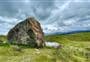 Pukaki Boulders Track
