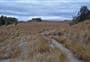 Tableland Circuit