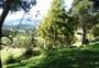Kaitaia Walkway