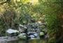 Woodside Glen Walk