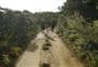 Forest Road (Port FitzRoy - Whangaparapara)