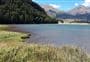 Diamond Lake Campsite