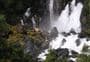 Tarawera Falls Track