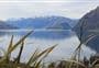 Lake Hāwea Track