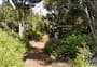 Lake Ohia Gumholes Reserve Walk