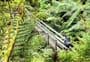 Waipapa Track to Waitawheta Hut
