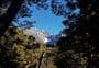 Mistake Creek Track