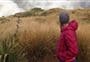 Mikonui Catchment - Dickie Ridge/Upper Tuke River Route 