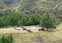 Everetts Campsite