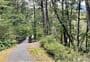 Old Coach Road