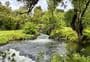 Meeting of the Waters Scenic Reserve walks