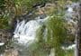 Taheke Waterfall Track