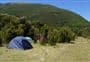 Boyle Campsite