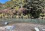 Waihohonu Campsite