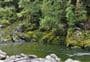 Iron Gate Hut Track